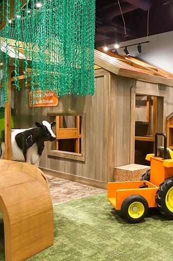 Creative Discovery Museum